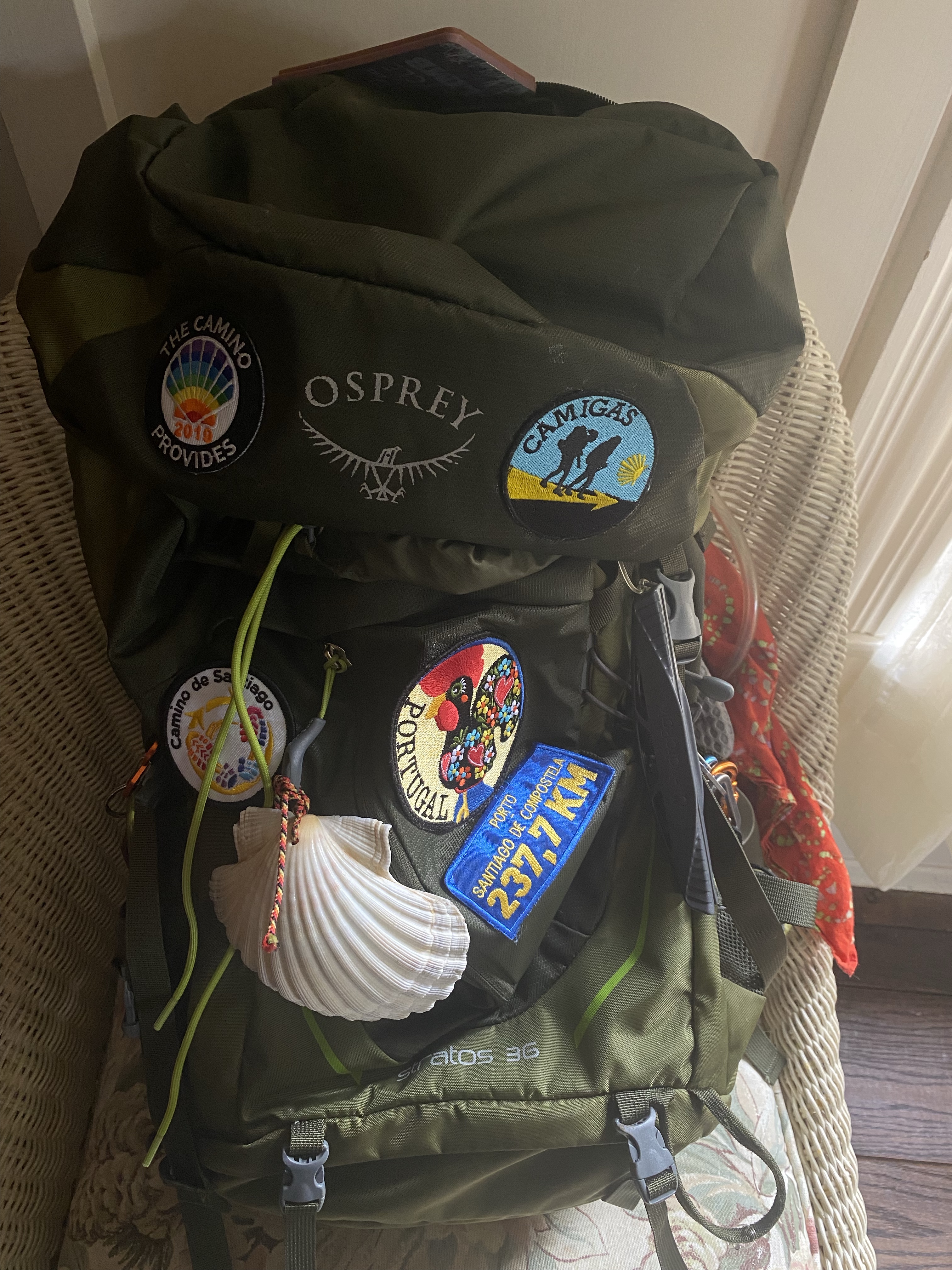7 Days Count Down – wild women walking